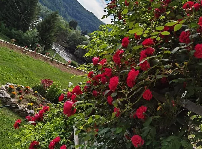 Bed & Breakfast Unaqua 3*